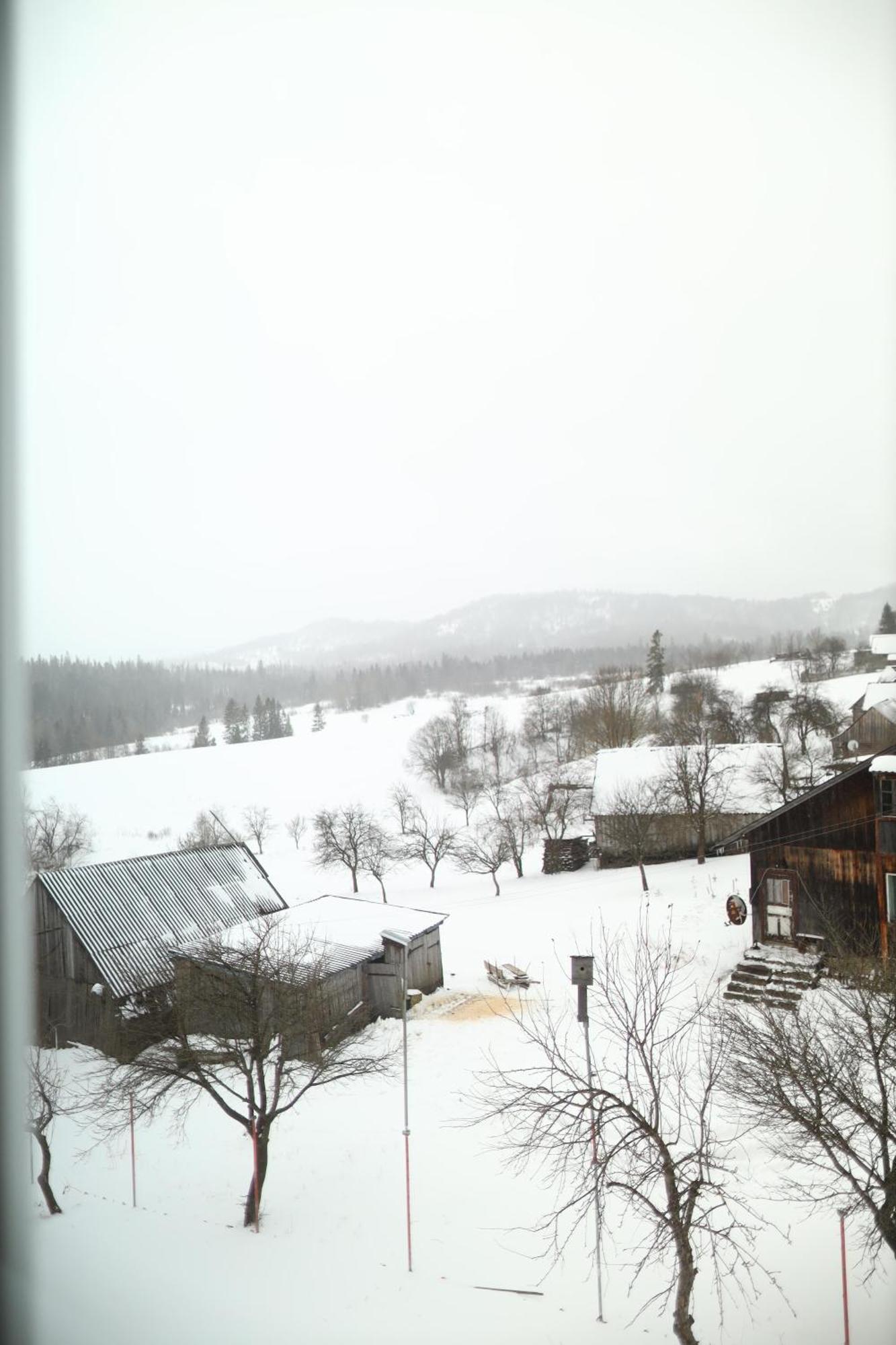 Котедж У Карпатах Tukhol'ka Exterior photo